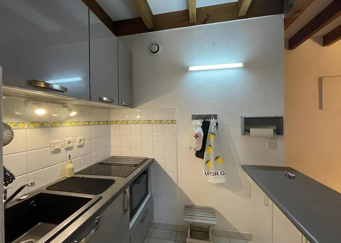 Apartman Appartement, Animaux Acceptes - Vue Piscine Et - Fr-1-379-187 *