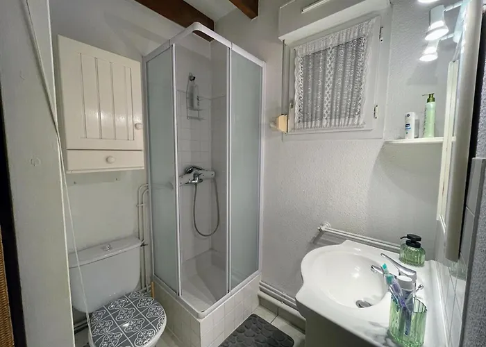 Appartement, Animaux Acceptes - Vue Piscine Et - Fr-1-379-187 Soustons
