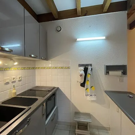 Apartman Appartement, Animaux Acceptes - Vue Piscine Et - Fr-1-379-187 *