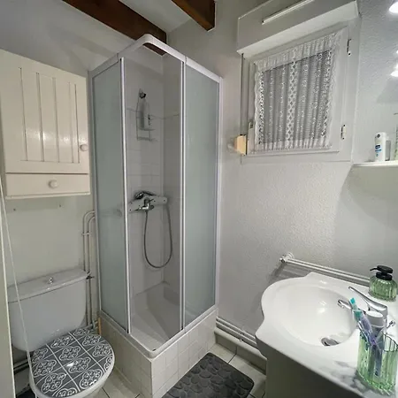 Appartement, Animaux Acceptes - Vue Piscine Et - Fr-1-379-187 Soustons