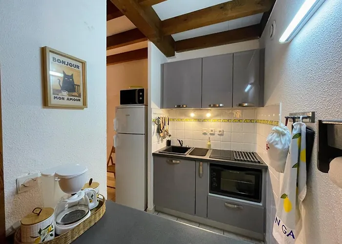 Apartamento Appartement, Animaux Acceptés - Vue Piscine Et - Fr-1-379-187